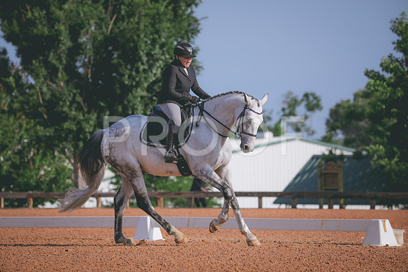 RWP_3813