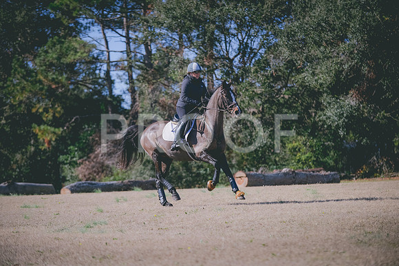 JJS_0097