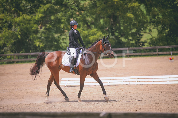 4N7A3965