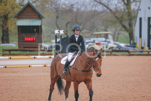 0N0A8550