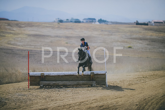 JJS_0440