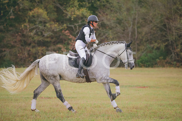 RWP_3546
