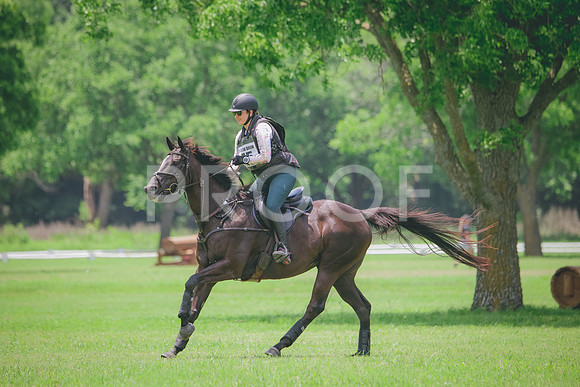 RWP_3028