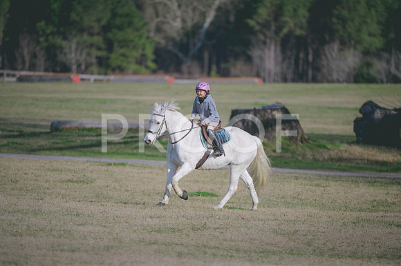 JJS_2169