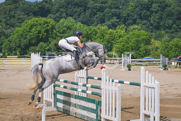 DSC_0423