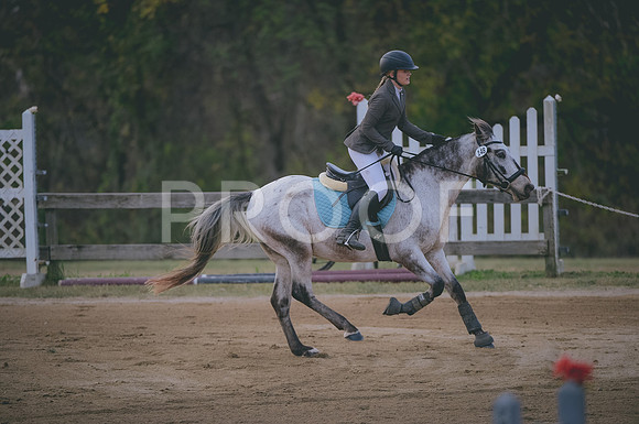 JJS_2576