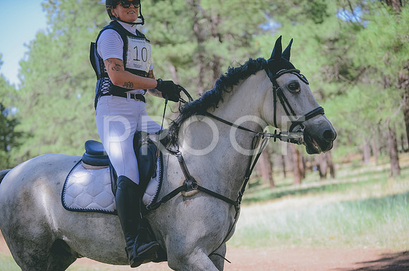JJS_2952A