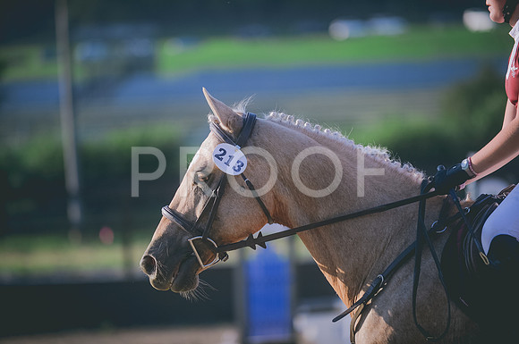 JJS_0708