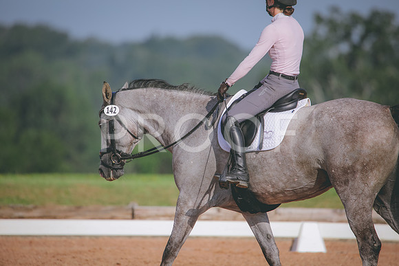 RWP_4568