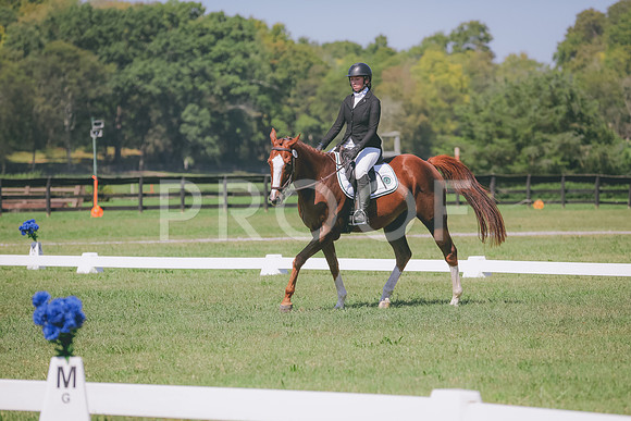 APP_5441