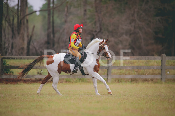 RWP_3844