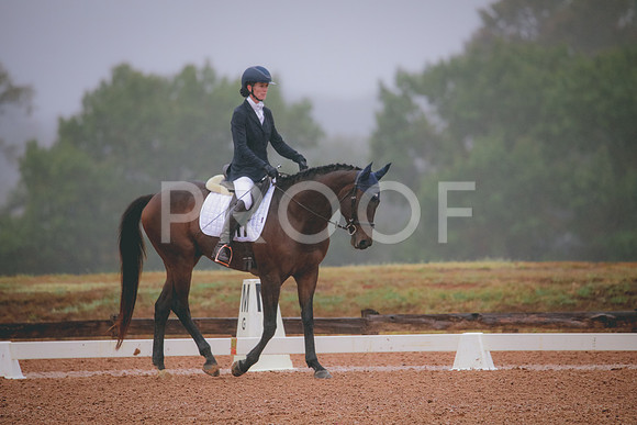 RWP_0808