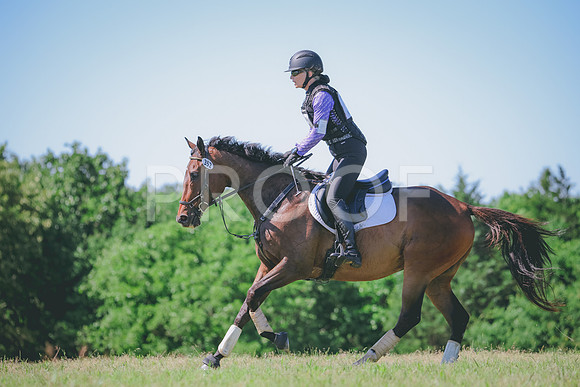 RWP_1293