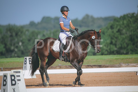 RWP_4611