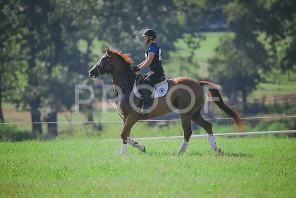 RWP_6341