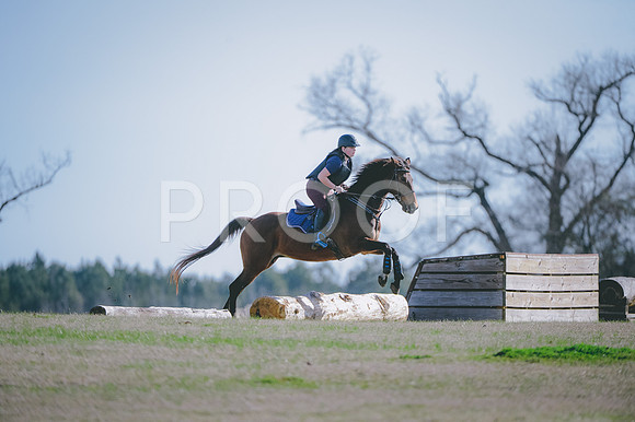 JJS_3370