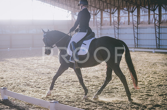 JJS_1099