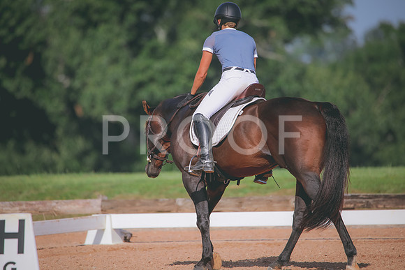 RWP_4618