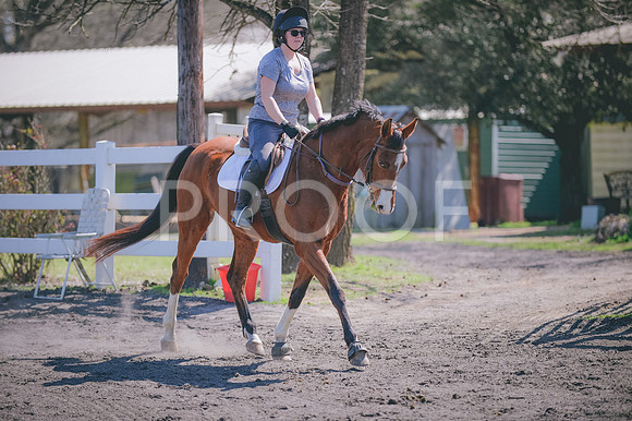 JJS_0698