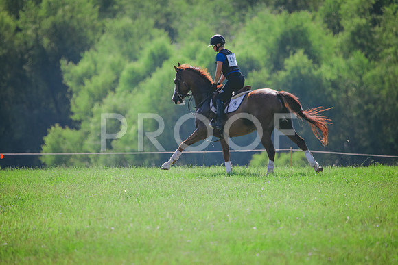 RWP_6346