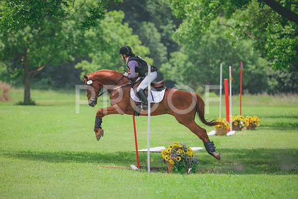 RWP_2919
