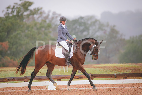 RWP_1068