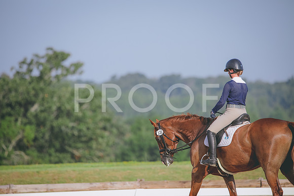 RWP_4432