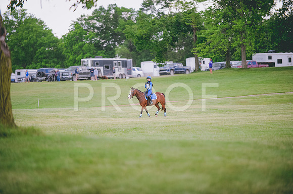 JJS_1519