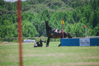 RWP_0973
