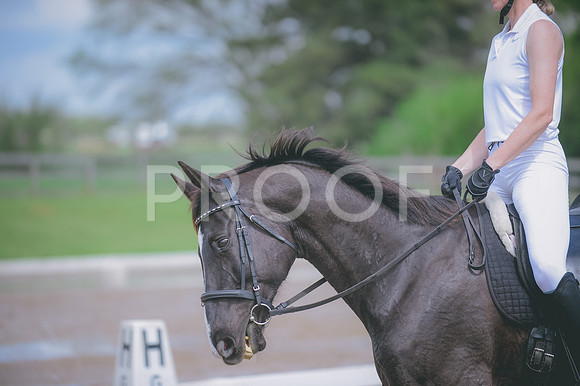 JJS_3321