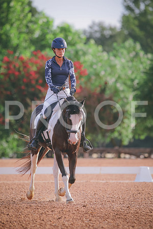 RWP_4195