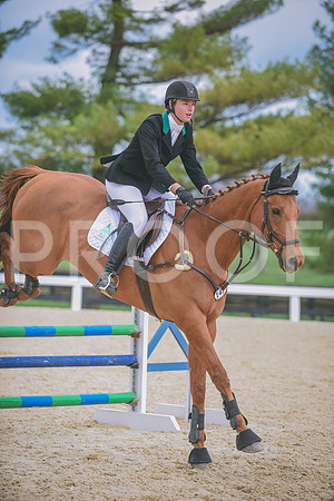 DSC_0055 copy