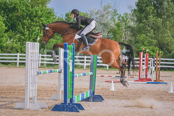 DSC_6654 copy