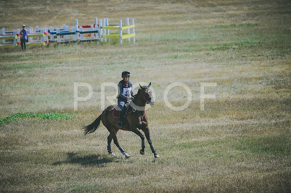 JJS_0827