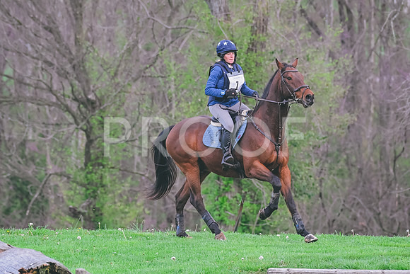 CRB_6196