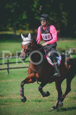 JJS_7818