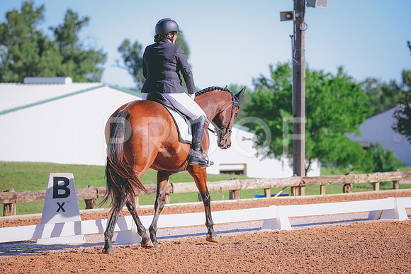 RWP_9448
