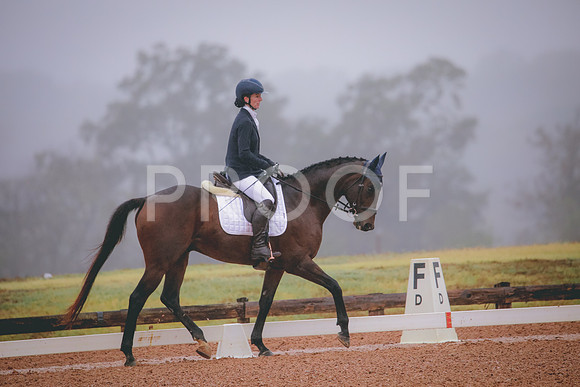 RWP_0771