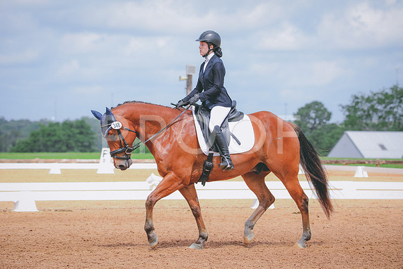 RWP_4338