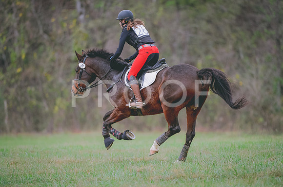 JJS_0369