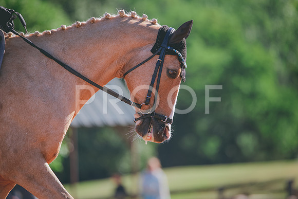 RWP_9387