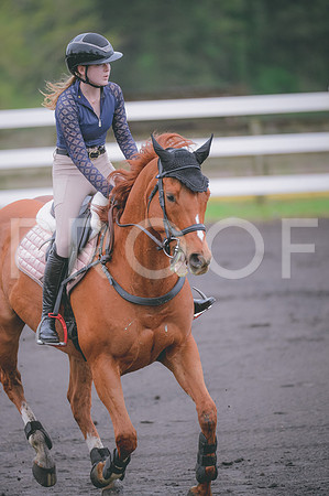 JJS_2641