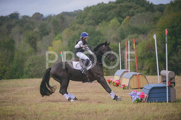 JJS_2373