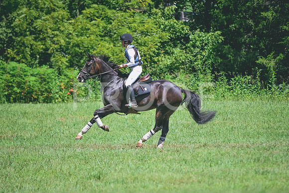 DSC_2301