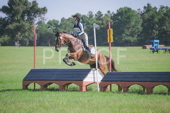 RWP_6201