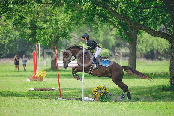 RWP_3298