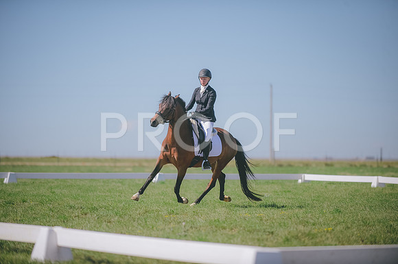 JJS_2343