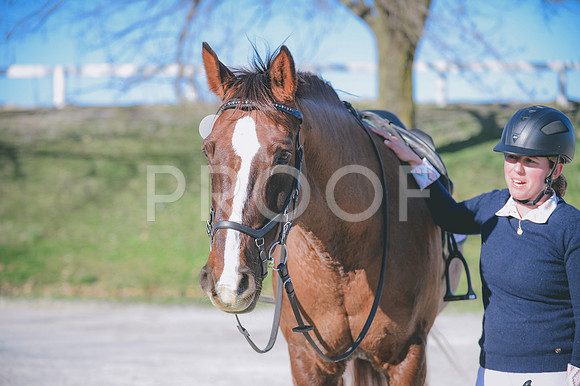 JJS_2812