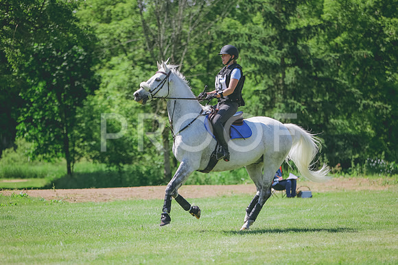 3T5A6576