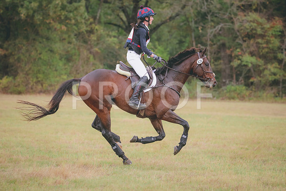 RWP_2855